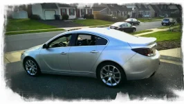the whip 2.webp