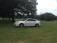 ImageUploadedByTapatalk1407118382.731754.webp