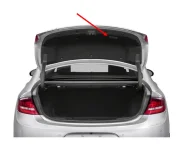 lacrosse_trunk.webp