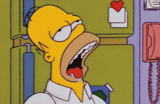 Homer.gif