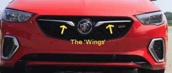 BuickWings.webp