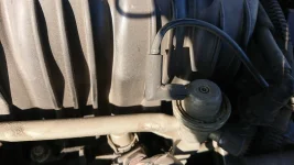 DSC_1205.webp DSC_1205.webp