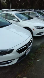 whites.webp whites.webp