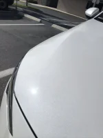 FEC65017-D77C-4039-95B1-D9F957C2544F.webp FEC65017-D77C-4039-95B1-D9F957C2544F.webp