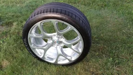 7-16-20 rim on the loose.jpg