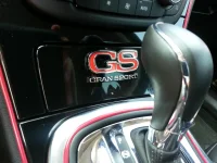 Old GS Logo & Trim.webp