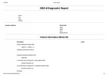 OBD-II Report.webp