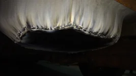trunk welding paint burn.webp