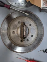 PXL_20210502_130656212.webp PXL_20210502_130656212.webp