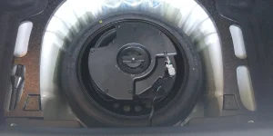 Regal_Trunk_Well.webp