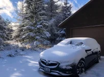 snowy.jpg