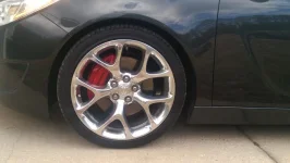 IMAG1404.webp