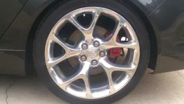 IMAG1405.webp