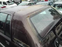 IMG_5718.webp IMG_5718.webp