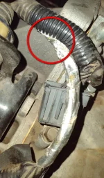 Buick Harness.webp