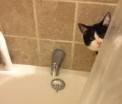 Really.webp Really.webp