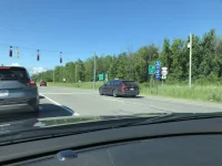 in the wild.jpg
