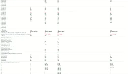 car comp 4.webp
