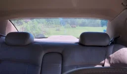 1665427455594.webp 1665427455594.webp