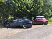 two in the wild - reduced.webp