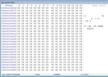 format.webp