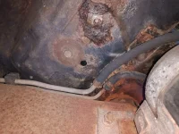 IMG_20250504_163709 (Medium).webp IMG_20250504_163709 (Medium).webp