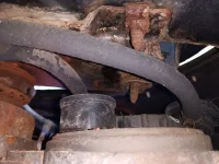 IMG_20250504_163658 (Medium).webp IMG_20250504_163658 (Medium).webp