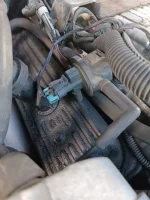 02_In_Situ_Long_Shot-1 (Medium).webp 02_In_Situ_Long_Shot-1 (Medium).webp