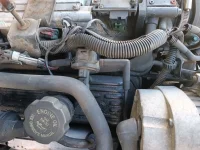 03_In_Situ_Long_Shot-2 (Medium).webp 03_In_Situ_Long_Shot-2 (Medium).webp