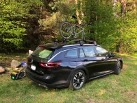 campsite 1.webp