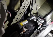 lacrosse battery.webp