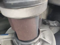 IMG_20251102_111052037.webp IMG_20251102_111052037.webp