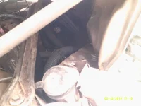 DSCF0077.webp