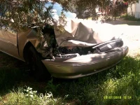 DSCF0130.webp