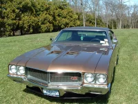 Flowerfield2Frt.webp Flowerfield2Frt.webp