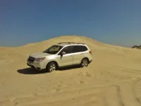 Forrester trying Outer Banks dune.webp