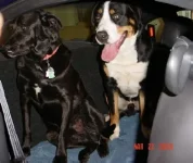 Bubba&Armin_in_Mustang1SP.webp
