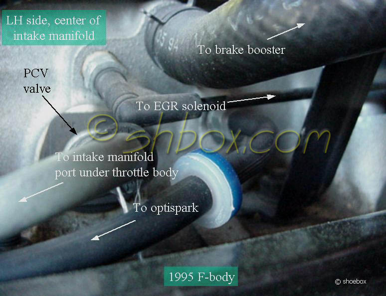 opti_vacuum_conn.jpg