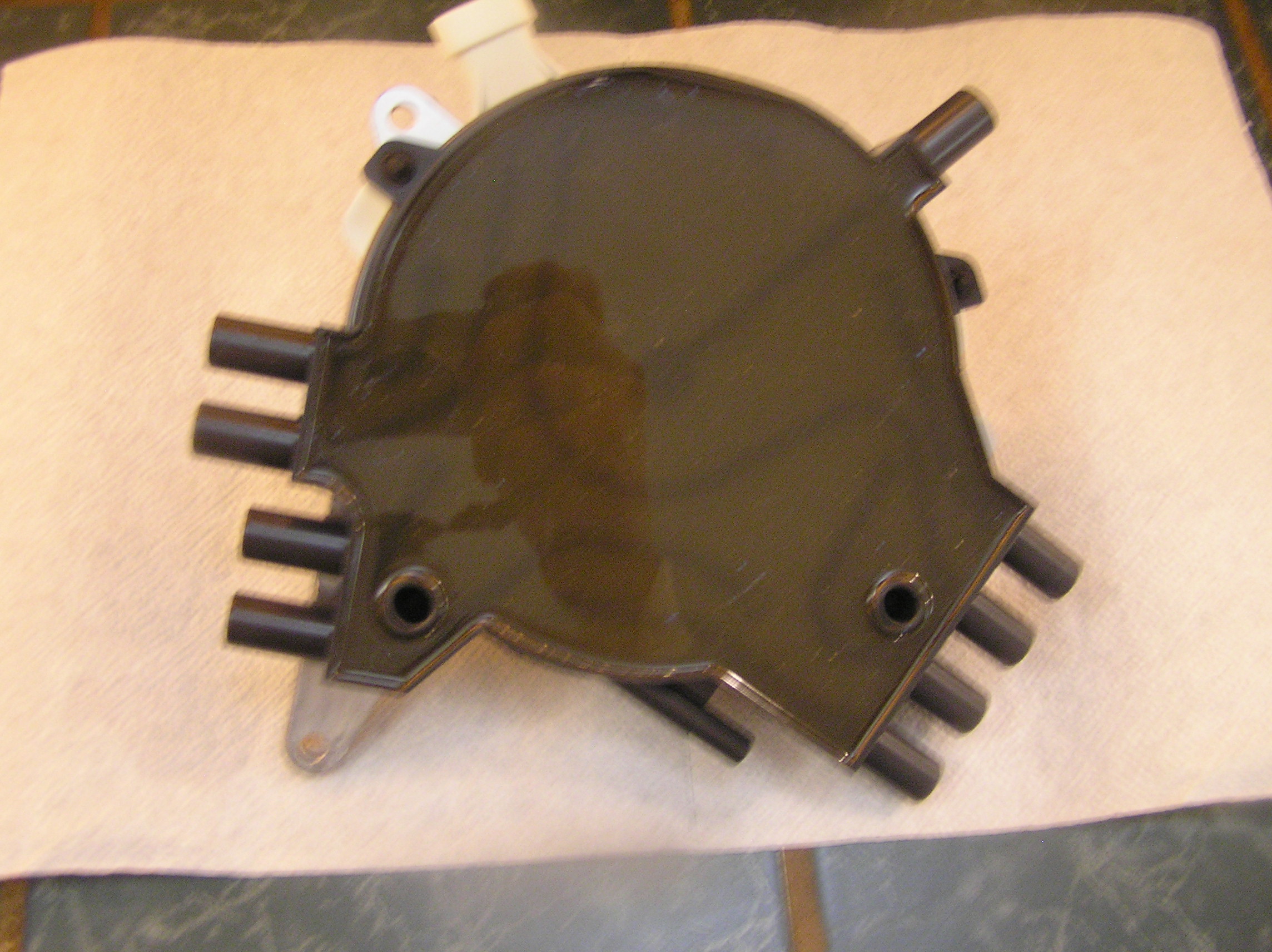 P1010507.JPG